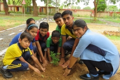 plantnaction