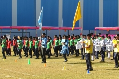 sport-7